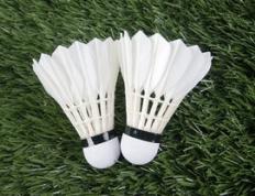 乐鱼体育-泰国羽毛球队横扫日本羽毛球队，陶菲克制霸全场