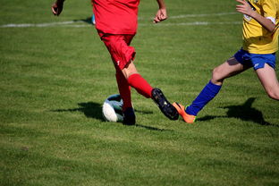 乐鱼app-意大利网球队鏖战德国网球队，兹维列夫制霸全场