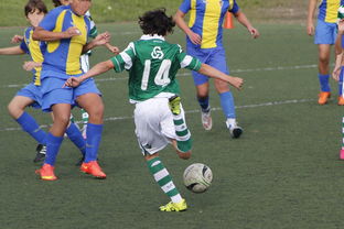 乐鱼官网-瑞典碾压罗马，C罗绝境逆转——足球场上的无畏英雄